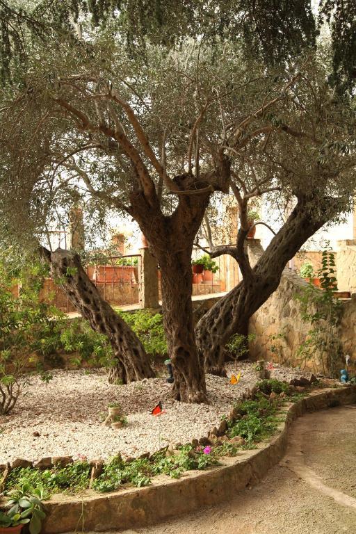 B&B Villa Casablanca Enna Exterior foto